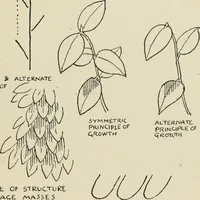 An illustration from Line & form (1902)