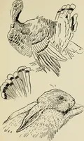 An illustration from Line & form (1902)