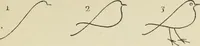 An illustration from Line & form (1902)