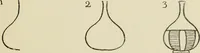 An illustration from Line & form (1902)