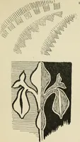 An illustration from Line & form (1902)