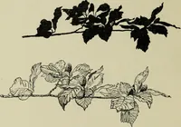 An illustration from Line & form (1902)