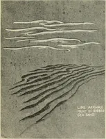 An illustration from Line & form (1902)