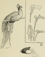 An illustration from Line & form (1902)