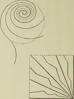 An illustration from Line & form (1902)