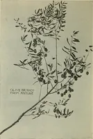 An illustration from Line & form (1902)