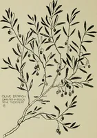 An illustration from Line & form (1902)