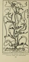 An illustration from Line & form (1902)