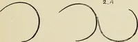 An illustration from Line & form (1902)