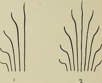 An illustration from Line & form (1902)