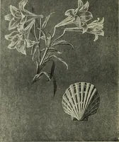 An illustration from Line & form (1902)