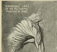 An illustration from Line & form (1902)