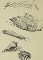 An illustration from Line & form (1902)