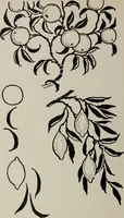 An illustration from Line & form (1921)