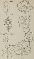 An illustration from Line & form (1921)