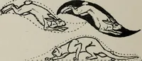 An illustration from Line & form (1921)