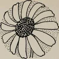 An illustration from Line & form (1921)