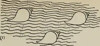 An illustration from Line & form (1921)