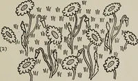 An illustration from Line & form (1921)