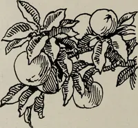 An illustration from Line & form (1921)