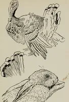 An illustration from Line & form (1921)