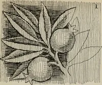 An illustration from Line & form (1921)