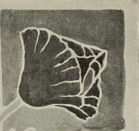 An illustration from Line & form (1921)