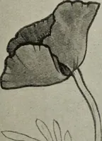 An illustration from Line & form (1921)