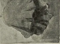 An illustration from Line & form (1921)