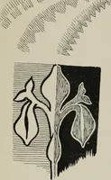An illustration from Line & form (1921)