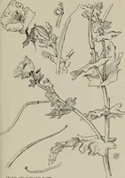 An illustration from Line & form (1921)