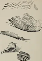 An illustration from Line & form (1921)