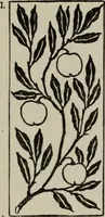 An illustration from Line & form (1921)