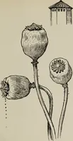 An illustration from Line & form (1921)