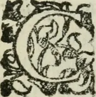 Picture 5 of 6 from L'ingannata Proserpina : opera rappresentatiua, e scenica (1611), leaf 29