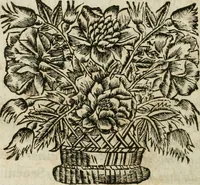 An illustration from L'instruction des prestres : qui contient sommairement tous les cas de conscience (1671)