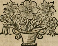 Picture 32 of 39 from L'instruction des prestres : qui contient sommairement tous les cas de conscience (1671), leaf 786