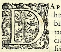 Picture 3 of 12 from L'interesse : comedia (1581), leaf 17