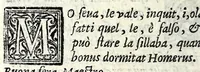 An illustration from L'interesse : comedia (1581)