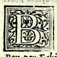 Picture 8 of 12 from L'interesse : comedia (1581), leaf 51