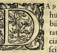 An illustration from L'interesse : comedia (1581)