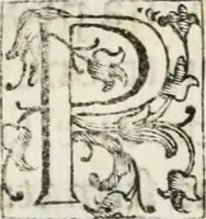 An illustration from L'intreccio di gigli : solennità di S. Antonio di Padova, celebrata l'anno 1658 & il 1659 dalla di lui congregatione eretta nuovamenta in Parma, sotto la protettione de' serenissimi signori prencipi Pietro e Maria Maddalena Farnesi (1659)