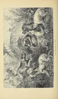 An illustration from The lion and the elephant (1873)