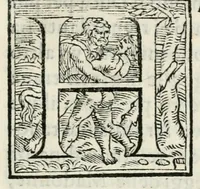 An illustration from L'Isola beata : torneo fatto nella citta di Ferrara per la venvta del serenissimo principe Carlo, arcidvca d'Avstria a XXV di maggio M.D.LXIX (1569)