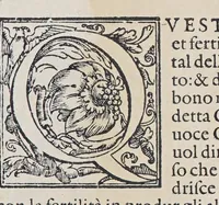 Picture 25 of 37 from L'isole piu famose del mondo (1572), leaf 107