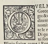 An illustration from L'isole piu famose del mondo (1576)