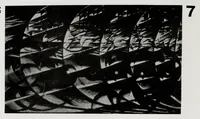 An illustration from Die Kunstismen / Les Ismes de L'Art / The Isms of Art 1914 1924 (1925)