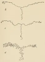 An illustration from List of publications of the Museum of the American Indian : Heye foundation (1924)