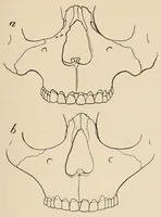 An illustration from List of publications of the Museum of the American Indian : Heye foundation (1924)