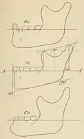 An illustration from List of publications of the Museum of the American Indian : Heye foundation (1924)